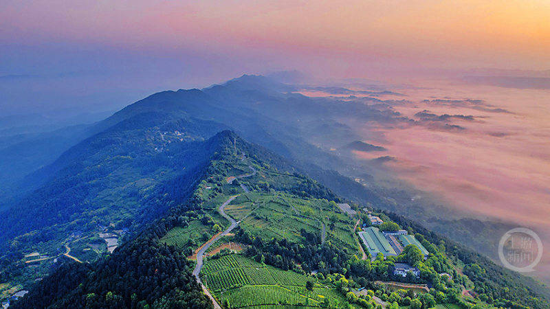 冬趣（566）｜上游主题摄影征稿作品展——万淑兰作品